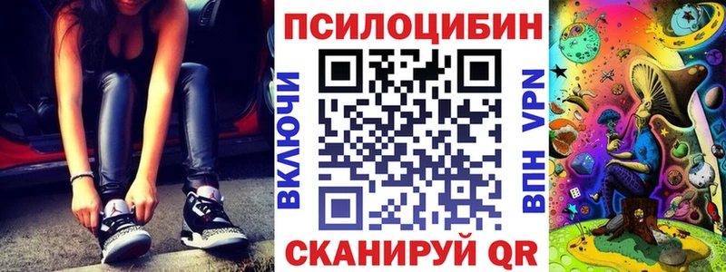 Купить где  Оренбург  Галлюциногенные грибы Psilocybe 